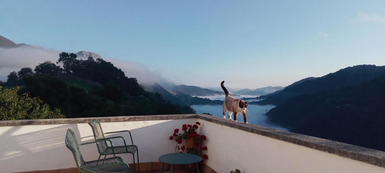 Vis 101 Bed & Breakfast Vista  ภายนอก รูปภาพ